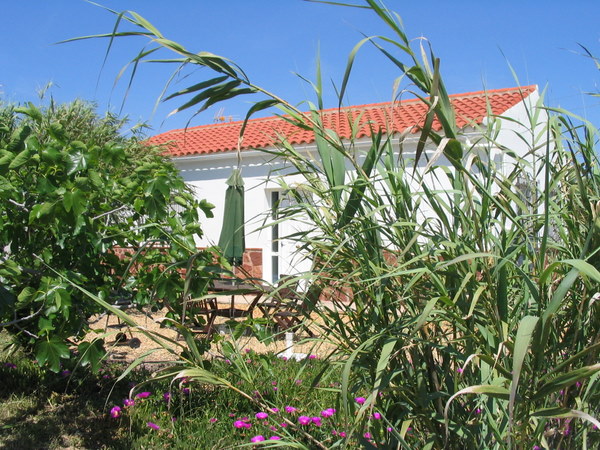 Spring at the Old Stables Holiday villa in Vera