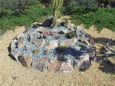 Cactus bed