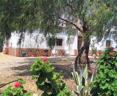 Finca Arboleda Holiday Orange Grove Apartment