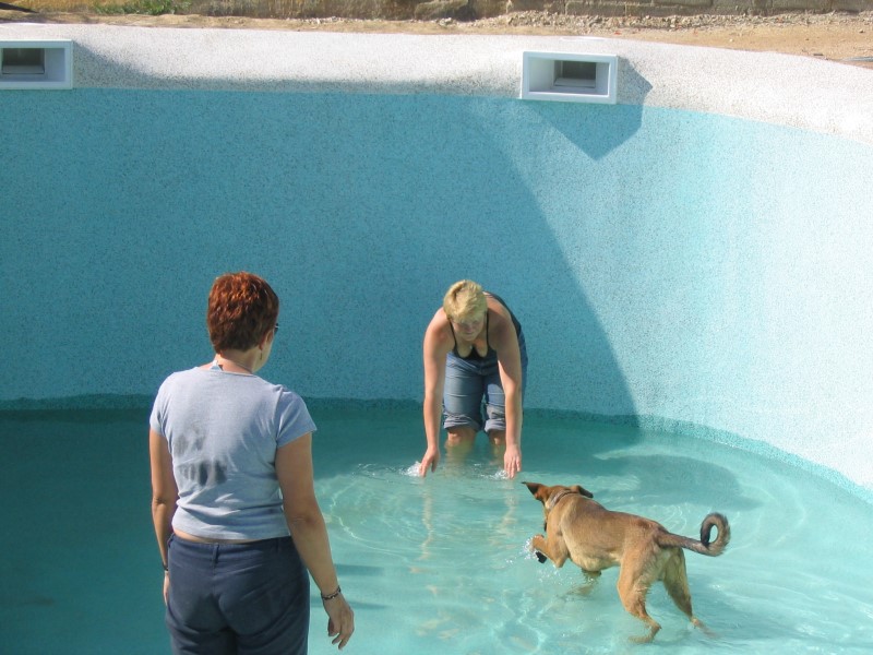 Filling the pool