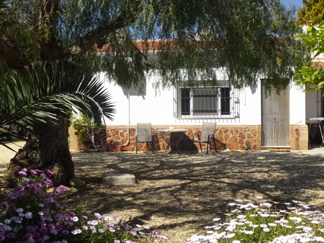 Orange Grove Apartment, Vera, near Mojacar, Costa Almeria.