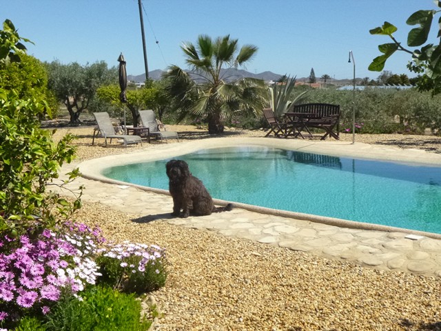 Dog-Friendly Holidays at Finca Arboleda: A Relaxing Retreat for You and Your Pup!